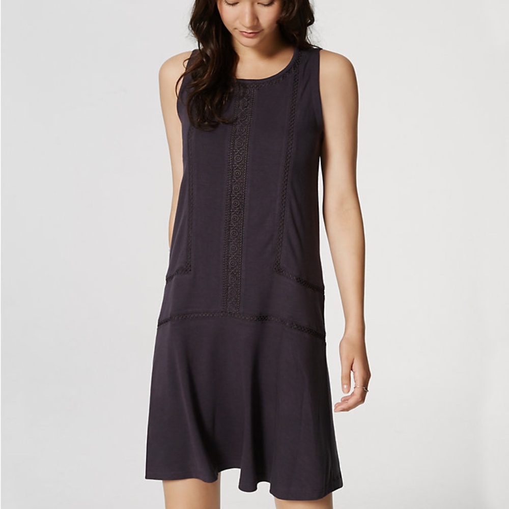 LOFT Petite Lacy Drop Waist Dress XSP